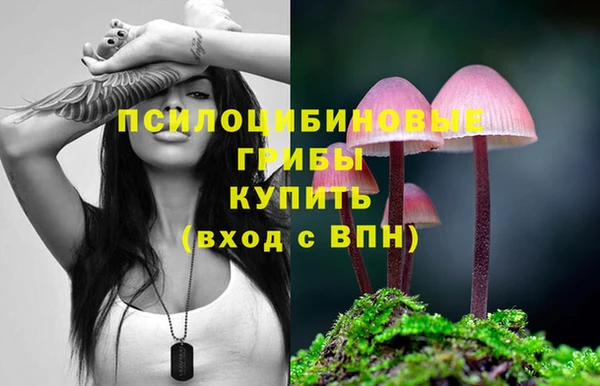 ешки Белоозёрский