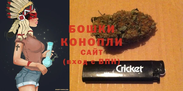 Альфа ПВП Белокуриха