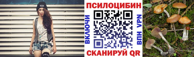 Галлюциногенные грибы Cubensis  Шадринск 