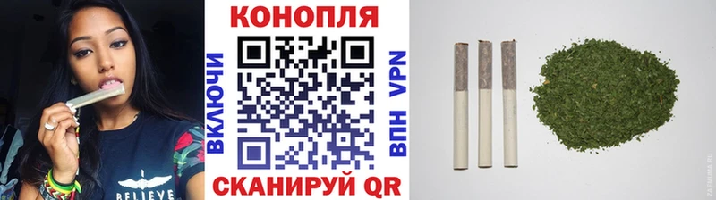 Бошки Шишки планчик  Шадринск 